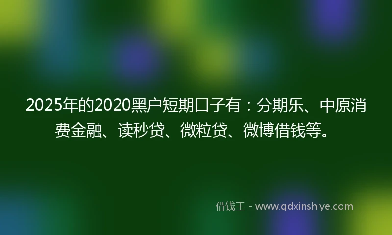 2025年的2020黑户短期口子有：分期乐、中原消费金融、读秒贷、微粒贷、微博借钱等。
