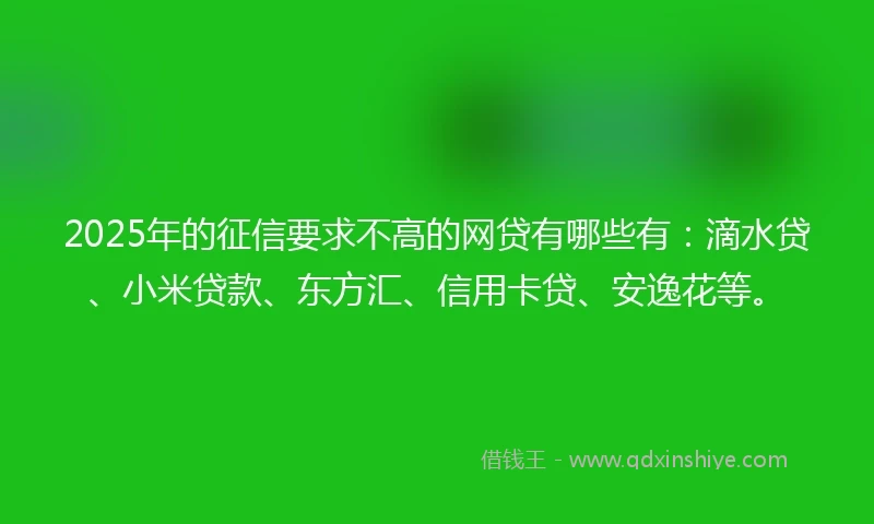 2025年的征信要求不高的网贷有哪些有：滴水贷、小米贷款、东方汇、信用卡贷、安逸花等。