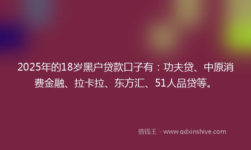 2025年的18岁黑户贷款口子有：功夫贷、中原消费金融、拉卡拉、东方汇、51人品贷等。