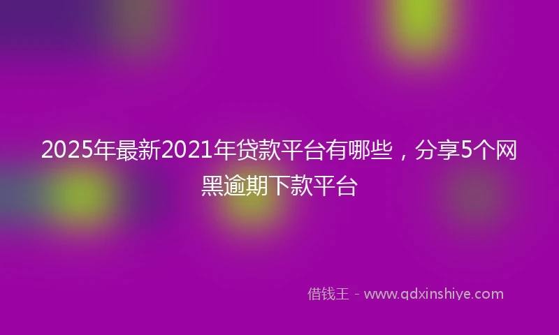 2025年最新2021年贷款平台有哪些，分享5个网黑逾期下款平台