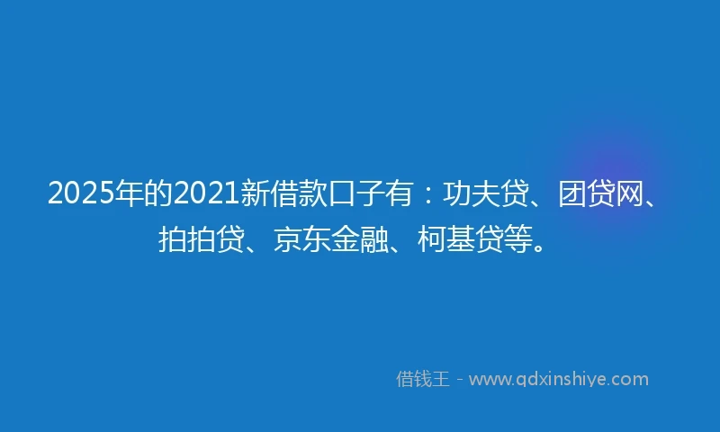 2025年的2021新借款口子有：功夫贷、团贷网、拍拍贷、京东金融、柯基贷等。