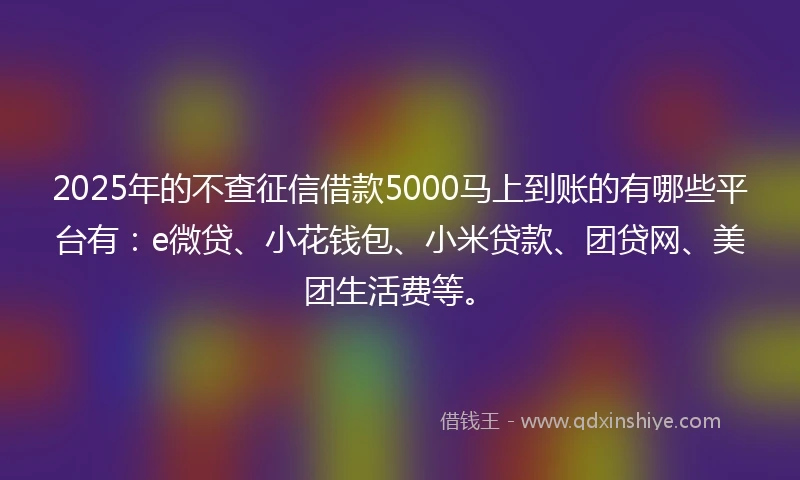 2025年的不查征信借款5000马上到账的有哪些平台有：e微贷、小花钱包、小米贷款、团贷网、美团生活费等。