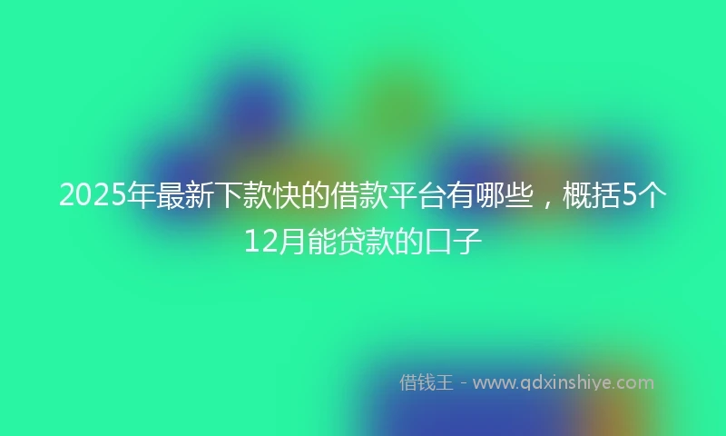 2025年最新下款快的借款平台有哪些，概括5个12月能贷款的口子