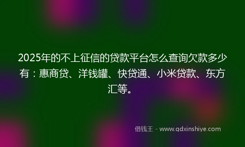 2025年的不上征信的贷款平台怎么查询欠款多少有：惠商贷、洋钱罐、快贷通、小米贷款、东方汇等。