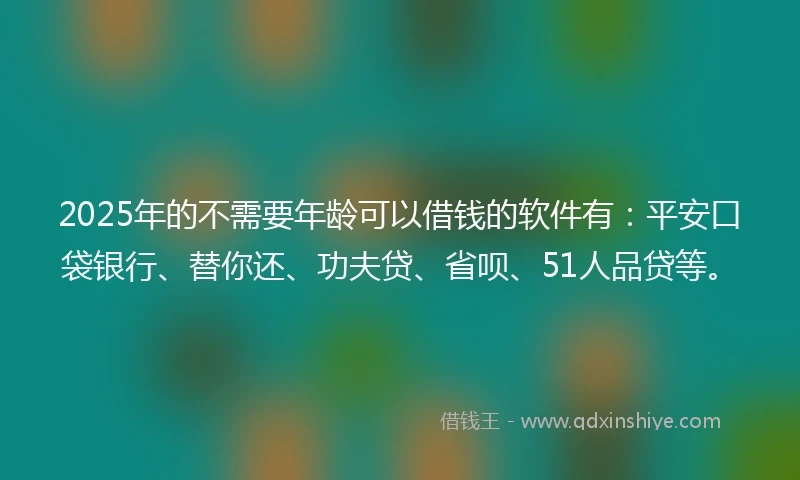 2025年的不需要年龄可以借钱的软件有：平安口袋银行、替你还、功夫贷、省呗、51人品贷等。