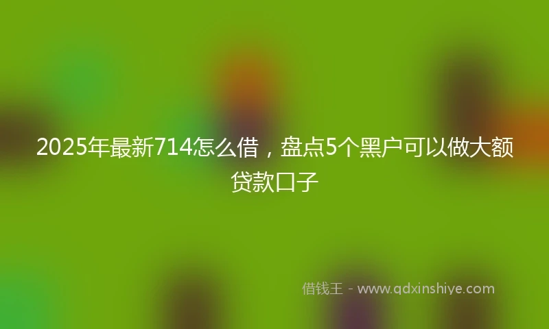 2025年最新714怎么借，盘点5个黑户可以做大额贷款口子