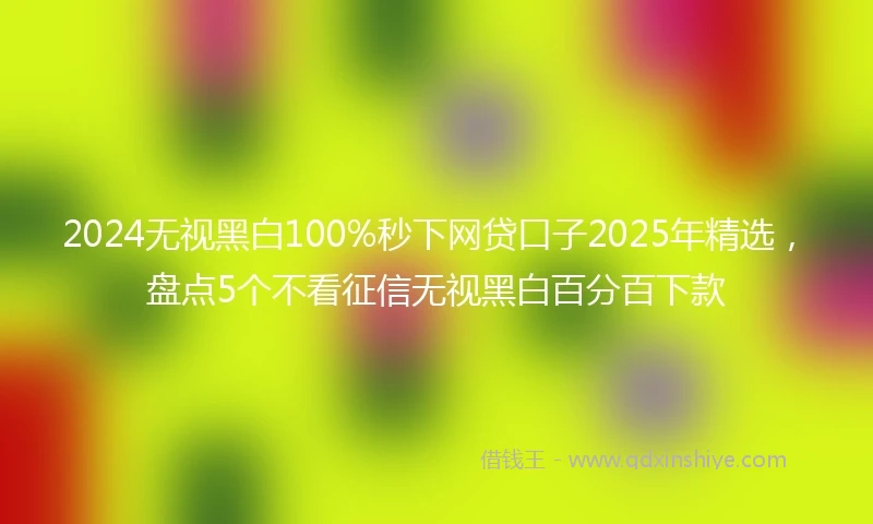 2024无视黑白100%秒下网贷口子2025年精选，盘点5个不看征信无视黑白百分百下款