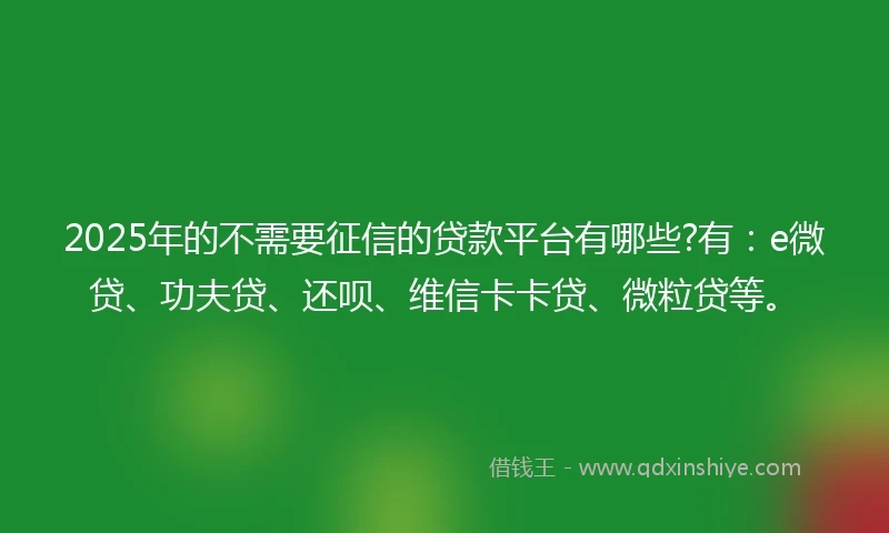 2025年的不需要征信的贷款平台有哪些?有：e微贷、功夫贷、还呗、维信卡卡贷、微粒贷等。