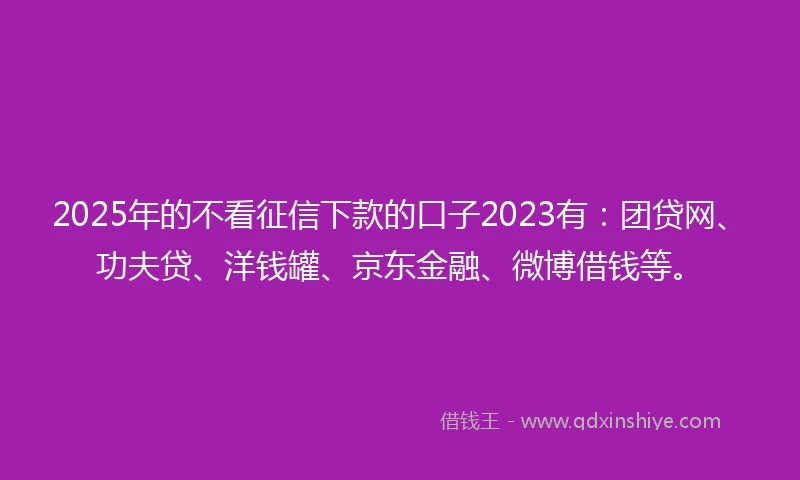 2025年的不看征信下款的口子2023有：团贷网、功夫贷、洋钱罐、京东金融、微博借钱等。
