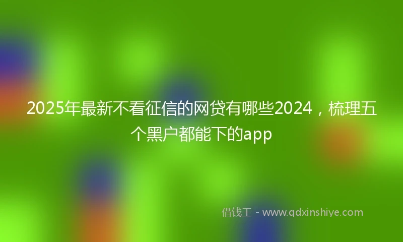 2025年最新不看征信的网贷有哪些2024，梳理五个黑户都能下的app