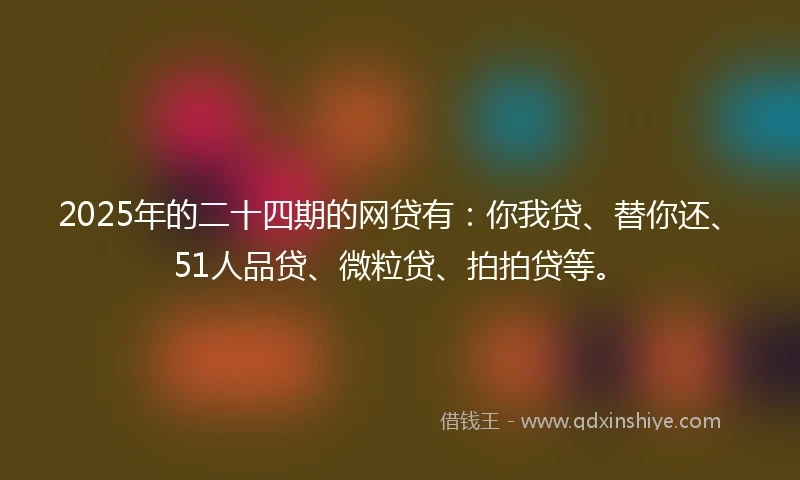 2025年的二十四期的网贷有：你我贷、替你还、51人品贷、微粒贷、拍拍贷等。