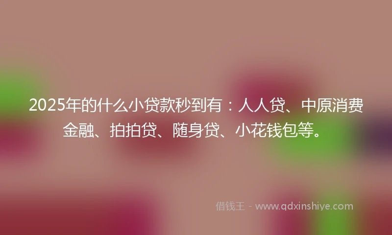 2025年的什么小贷款秒到有：人人贷、中原消费金融、拍拍贷、随身贷、小花钱包等。
