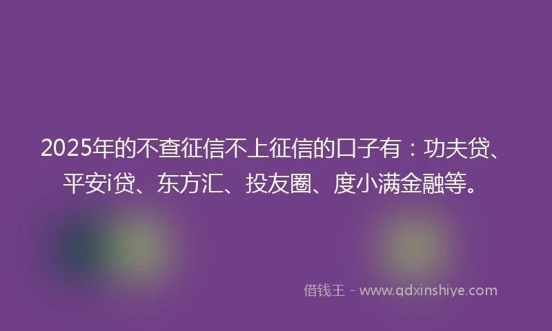 2025年的不查征信不上征信的口子有：功夫贷、平安i贷、东方汇、投友圈、度小满金融等。