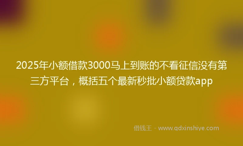 2025年小额借款3000马上到账的不看征信没有第三方平台，概括五个最新秒批小额贷款app