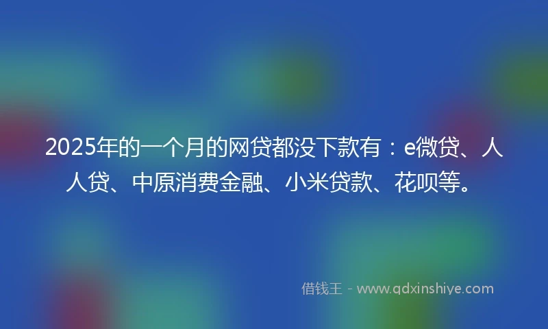 2025年的一个月的网贷都没下款有：e微贷、人人贷、中原消费金融、小米贷款、花呗等。