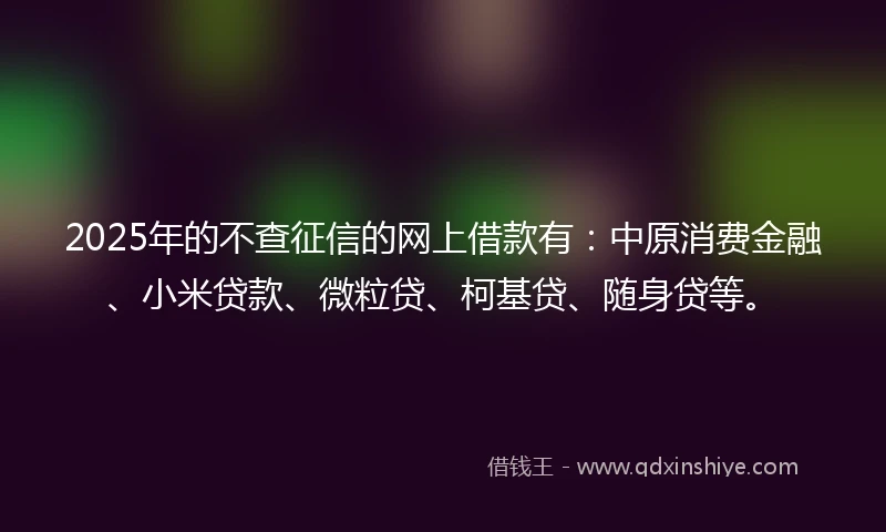 2025年的不查征信的网上借款有：中原消费金融、小米贷款、微粒贷、柯基贷、随身贷等。