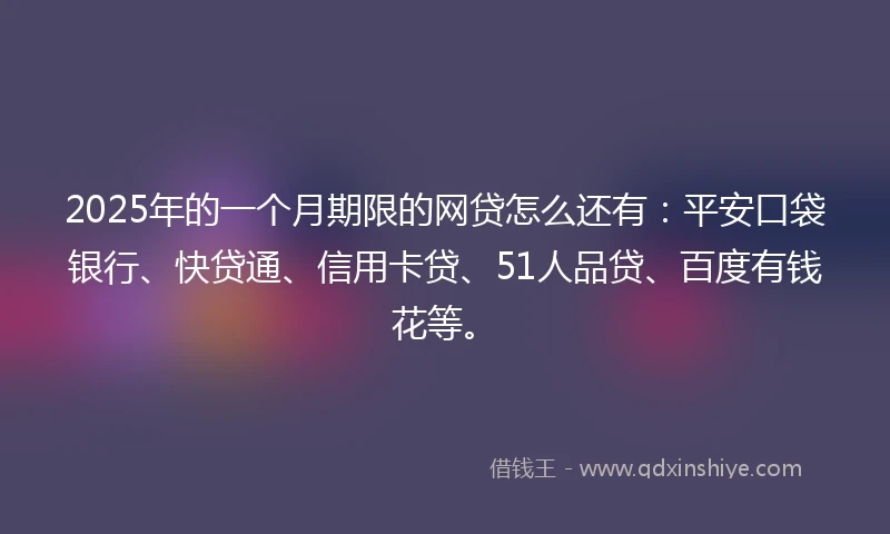 2025年的一个月期限的网贷怎么还有：平安口袋银行、快贷通、信用卡贷、51人品贷、百度有钱花等。