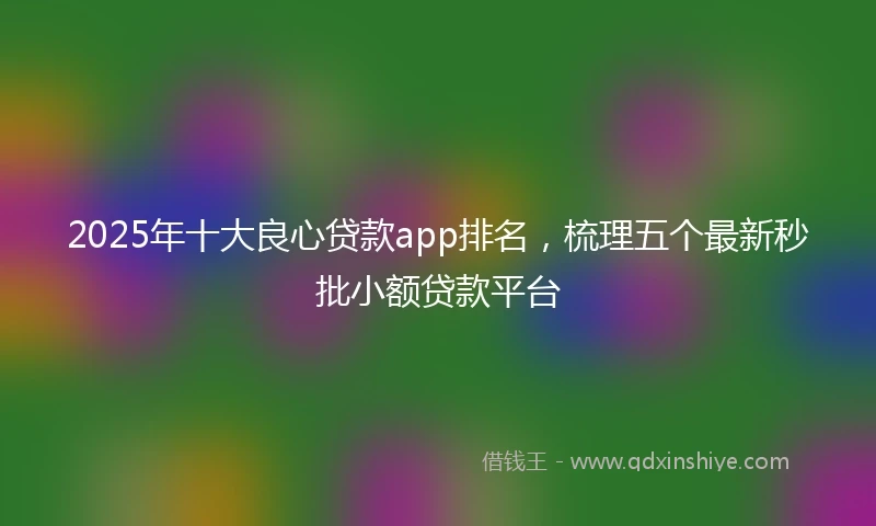 2025年十大良心贷款app排名，梳理五个最新秒批小额贷款平台