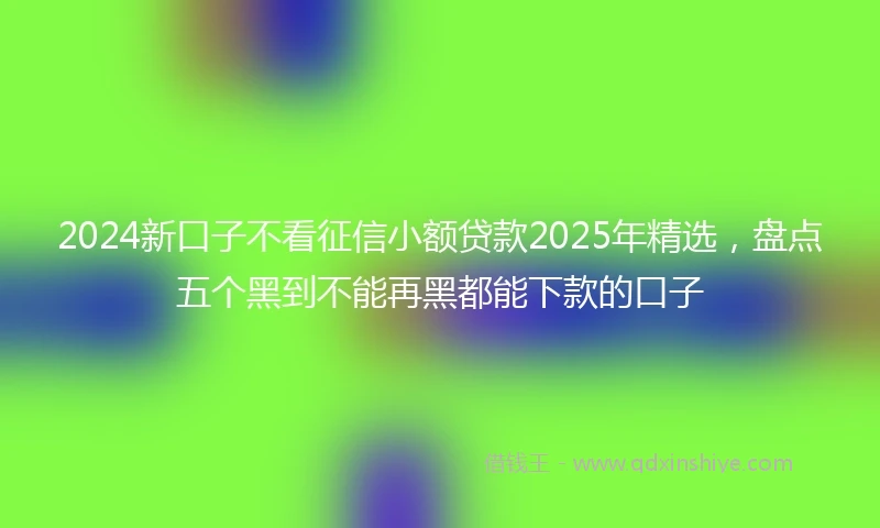 2024新口子不看征信小额贷款2025年精选，盘点五个黑到不能再黑都能下款的口子