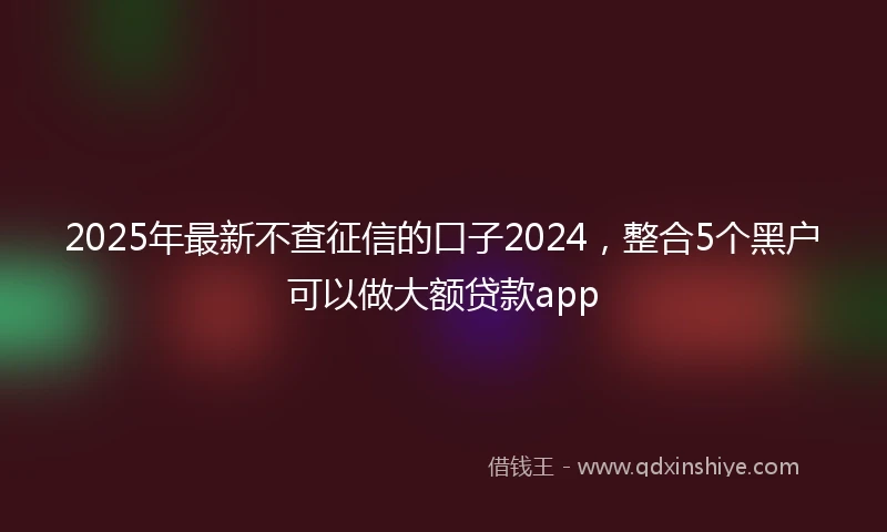 2025年最新不查征信的口子2024，整合5个黑户可以做大额贷款app