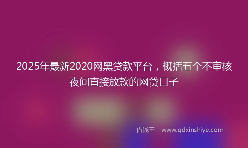 2025年最新2020网黑贷款平台，概括五个不审核夜间直接放款的网贷口子
