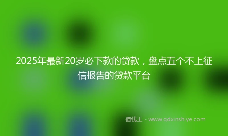2025年最新20岁必下款的贷款，盘点五个不上征信报告的贷款平台