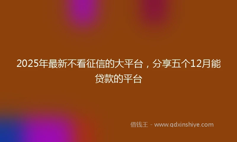 2025年最新不看征信的大平台，分享五个12月能贷款的平台