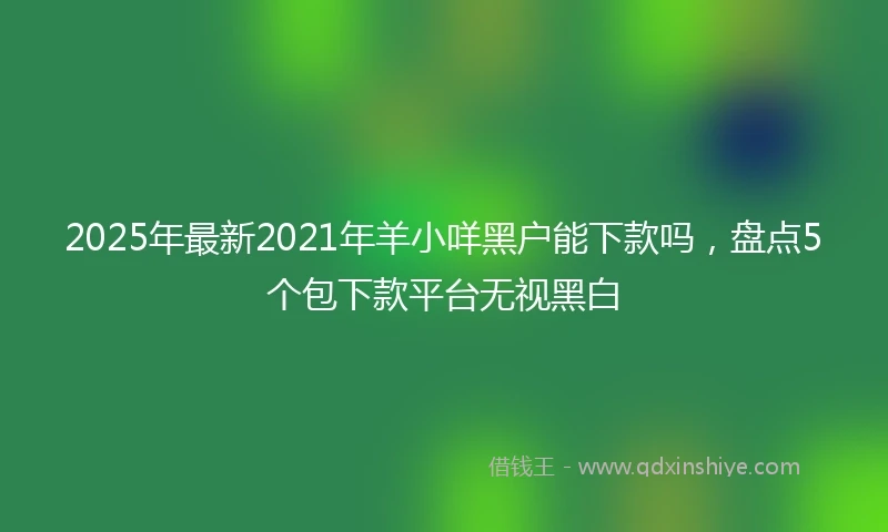 2025年最新2021年羊小咩黑户能下款吗，盘点5个包下款平台无视黑白