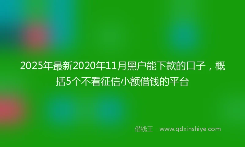 2025年最新2020年11月黑户能下款的口子，概括5个不看征信小额借钱的平台