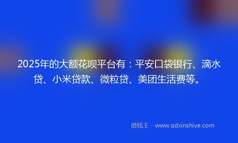 2025年的大额花呗平台有：平安口袋银行、滴水贷、小米贷款、微粒贷、美团生活费等。
