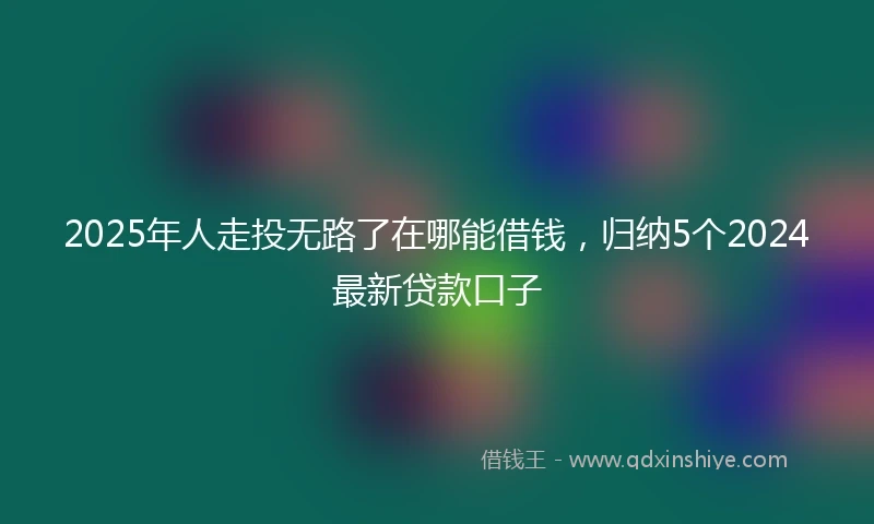 2025年人走投无路了在哪能借钱，归纳5个2024最新贷款口子