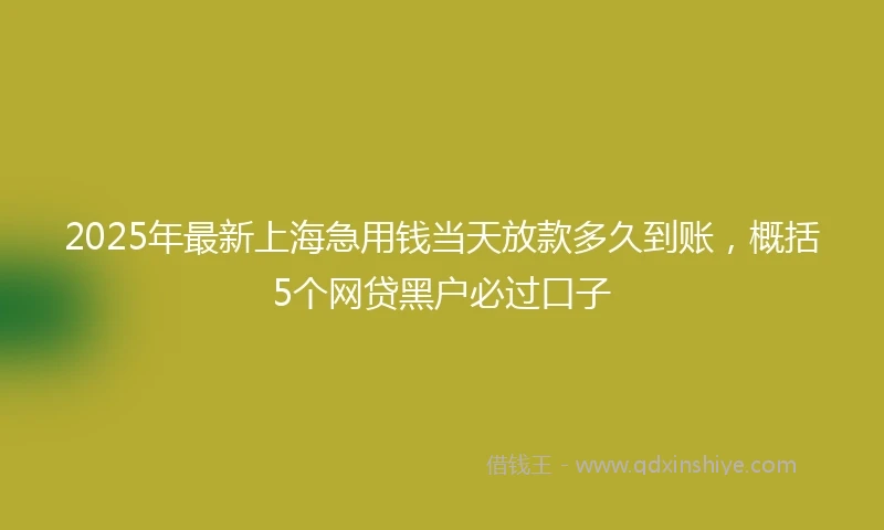 2025年最新上海急用钱当天放款多久到账，概括5个网贷黑户必过口子