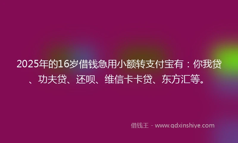 2025年的16岁借钱急用小额转支付宝有：你我贷、功夫贷、还呗、维信卡卡贷、东方汇等。