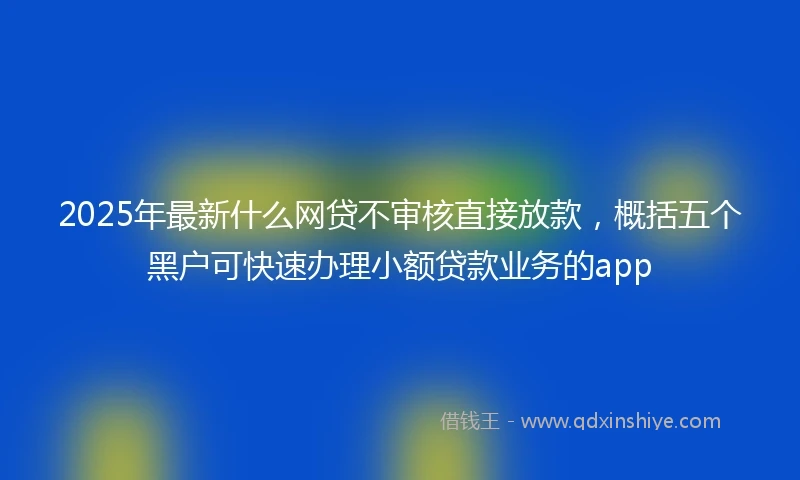 2025年最新什么网贷不审核直接放款，概括五个黑户可快速办理小额贷款业务的app