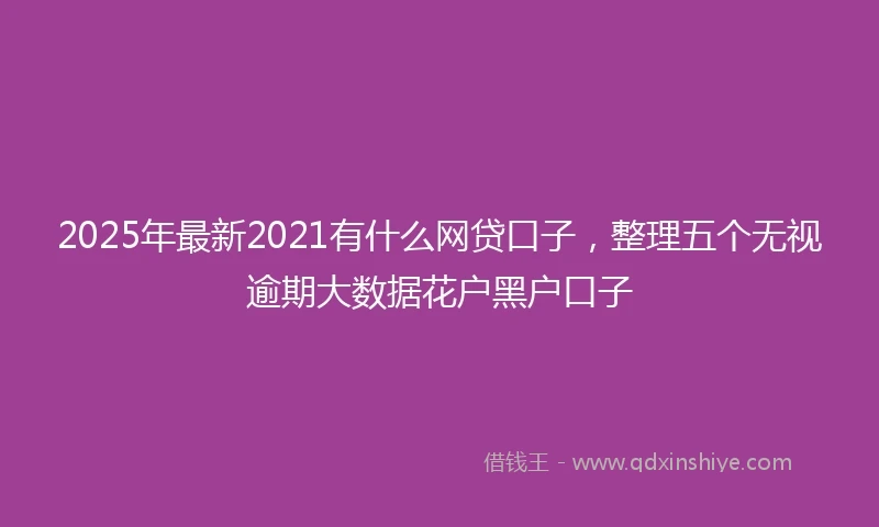 2025年最新2021有什么网贷口子，整理五个无视逾期大数据花户黑户口子