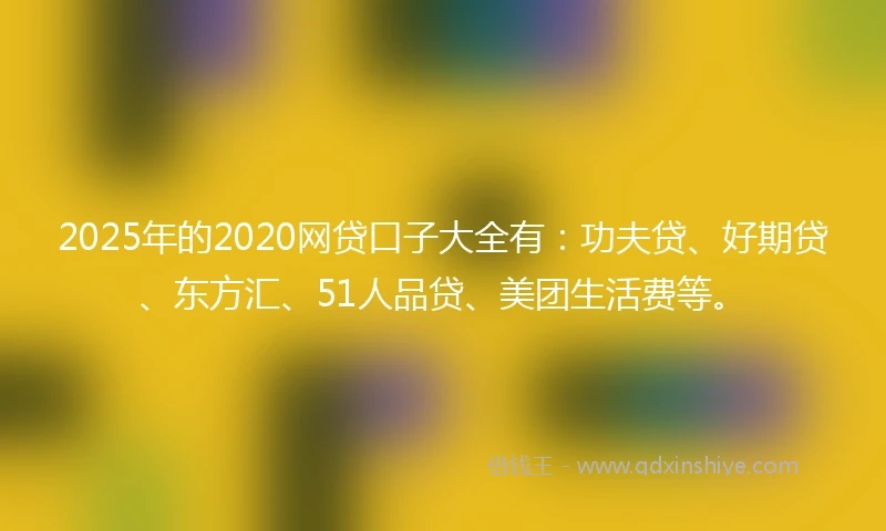 2025年的2020网贷口子大全有：功夫贷、好期贷、东方汇、51人品贷、美团生活费等。