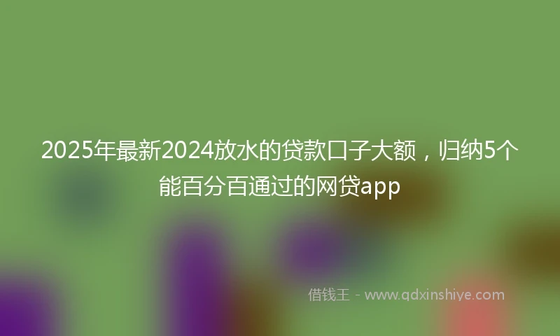 2025年最新2024放水的贷款口子大额，归纳5个能百分百通过的网贷app