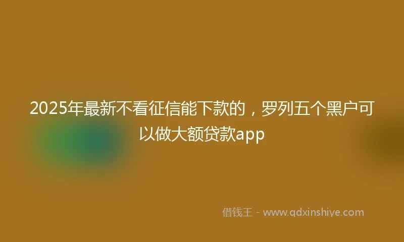 2025年最新不看征信能下款的，罗列五个黑户可以做大额贷款app