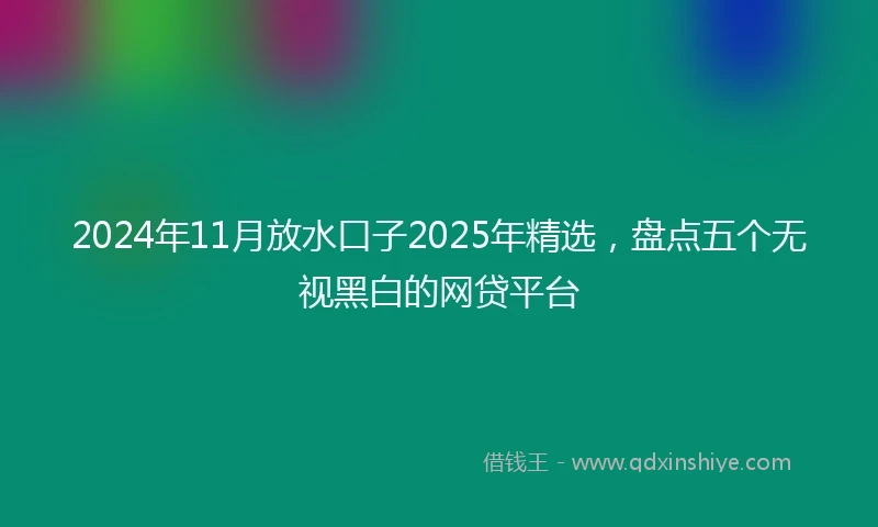2024年11月放水口子2025年精选，盘点五个无视黑白的网贷平台