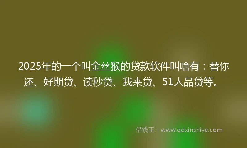 2025年的一个叫金丝猴的贷款软件叫啥有：替你还、好期贷、读秒贷、我来贷、51人品贷等。