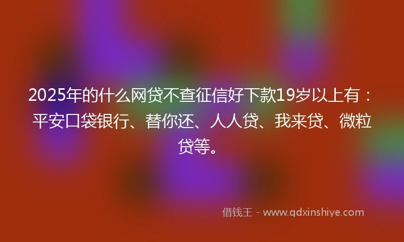 2025年的什么网贷不查征信好下款19岁以上有：平安口袋银行、替你还、人人贷、我来贷、微粒贷等。