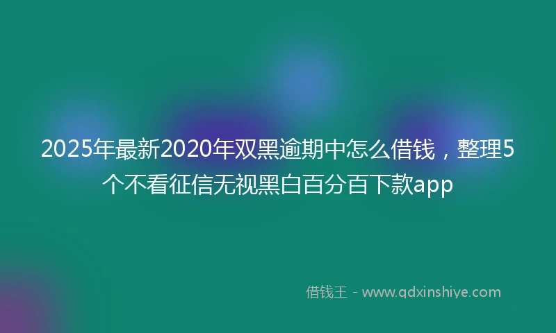 2025年最新2020年双黑逾期中怎么借钱，整理5个不看征信无视黑白百分百下款app