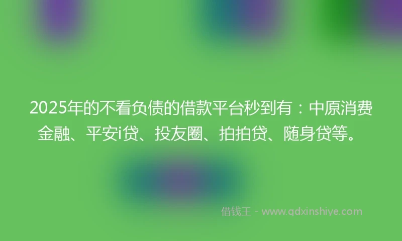 2025年的不看负债的借款平台秒到有：中原消费金融、平安i贷、投友圈、拍拍贷、随身贷等。
