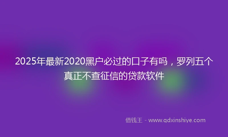 2025年最新2020黑户必过的口子有吗，罗列五个真正不查征信的贷款软件