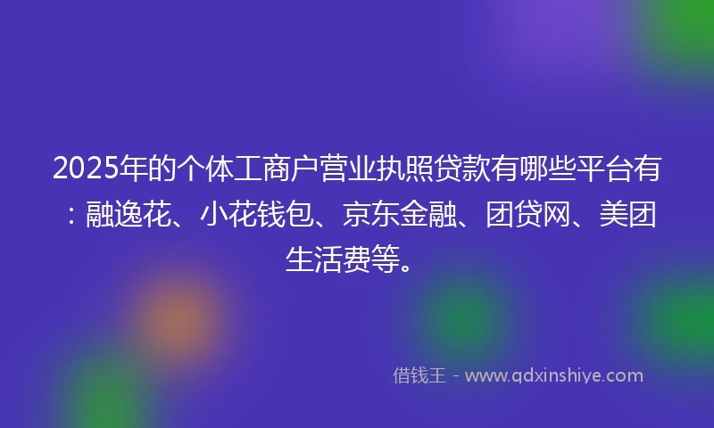 2025年的个体工商户营业执照贷款有哪些平台有：融逸花、小花钱包、京东金融、团贷网、美团生活费等。