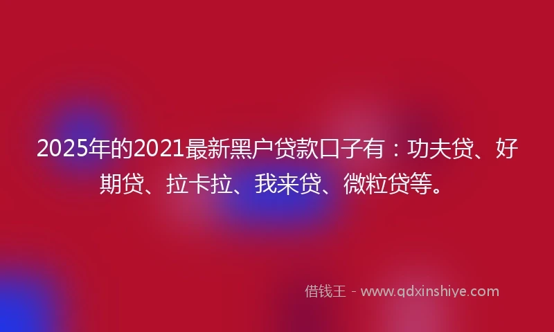 2025年的2021最新黑户贷款口子有：功夫贷、好期贷、拉卡拉、我来贷、微粒贷等。