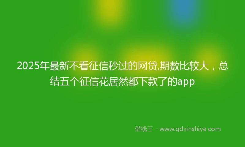 2025年最新不看征信秒过的网贷,期数比较大，总结五个征信花居然都下款了的app