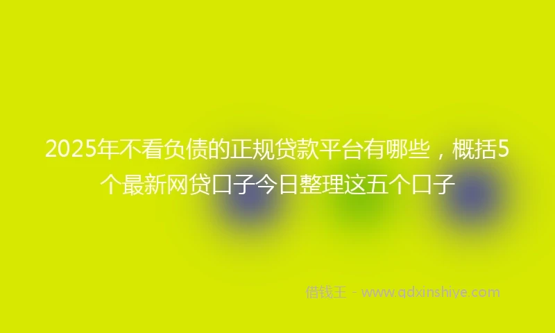 2025年不看负债的正规贷款平台有哪些，概括5个最新网贷口子今日整理这五个口子