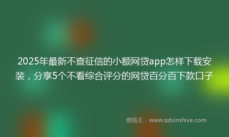 2025年最新不查征信的小额网贷app怎样下载安装，分享5个不看综合评分的网贷百分百下款口子