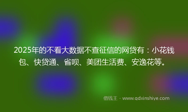 2025年的不看大数据不查征信的网贷有：小花钱包、快贷通、省呗、美团生活费、安逸花等。